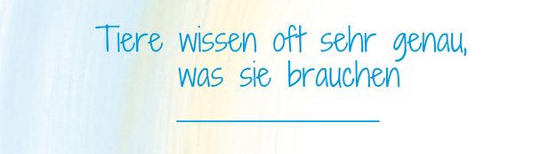 Tiere wissen oft sehr genau, was sie brauchen